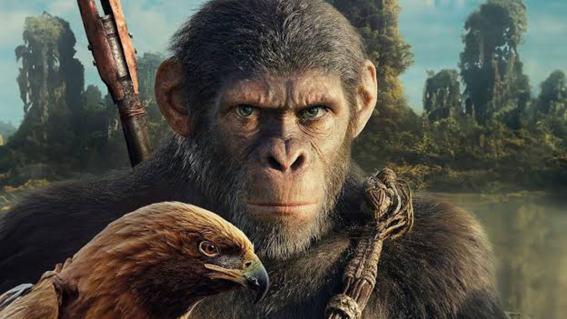 Divulgado trailer estendido em IMAX de Planeta dos Macacos: O Reinado