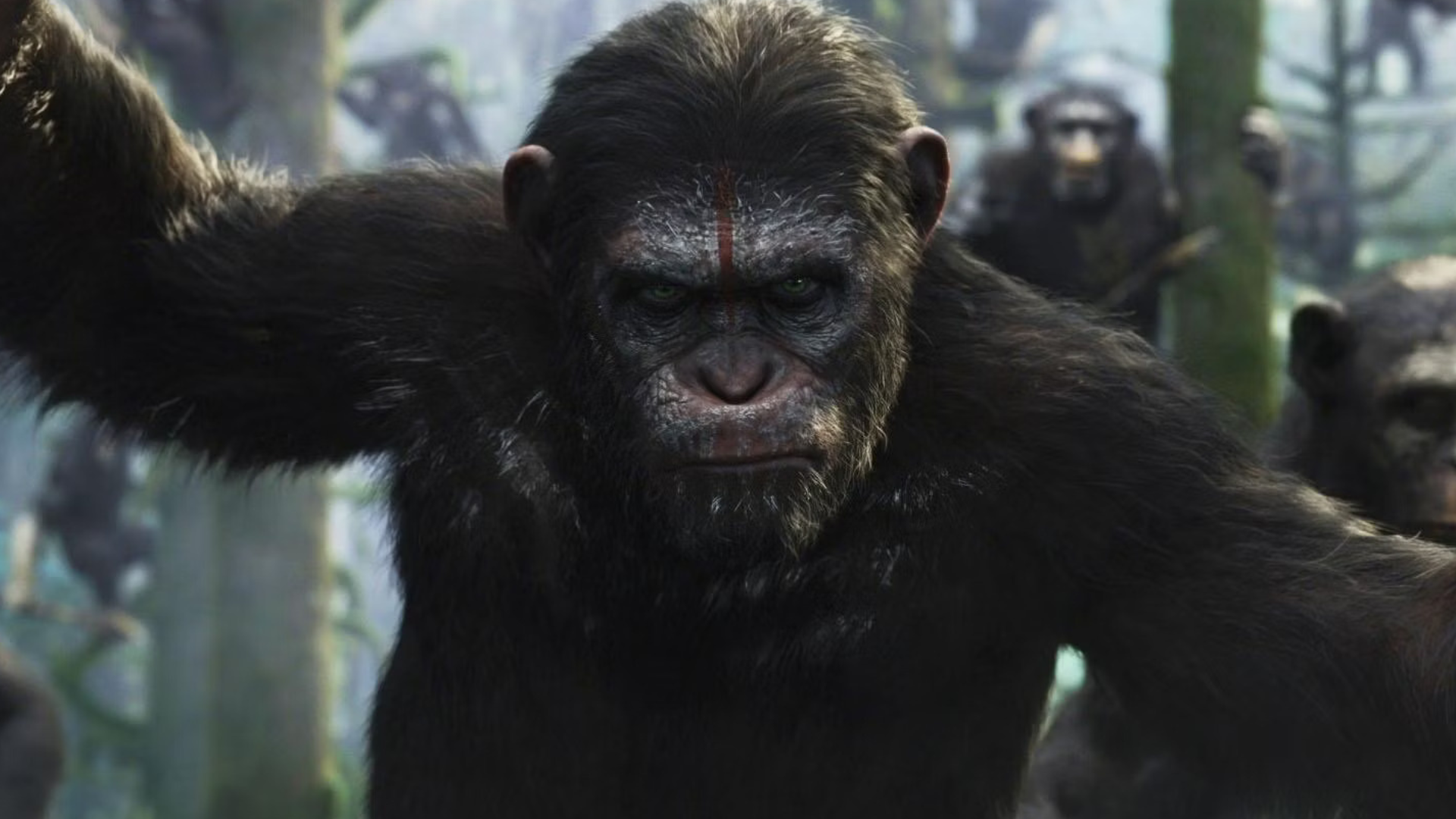 Novo filme de Planeta dos Macacos não sofrerá mudança na data de estreia