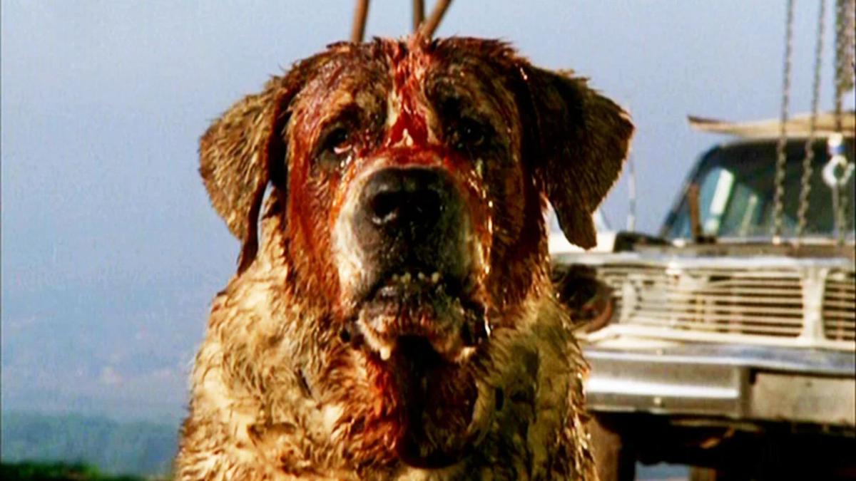 Netflix anuncia nova adaptação de Cujo, clássico de Stephen King